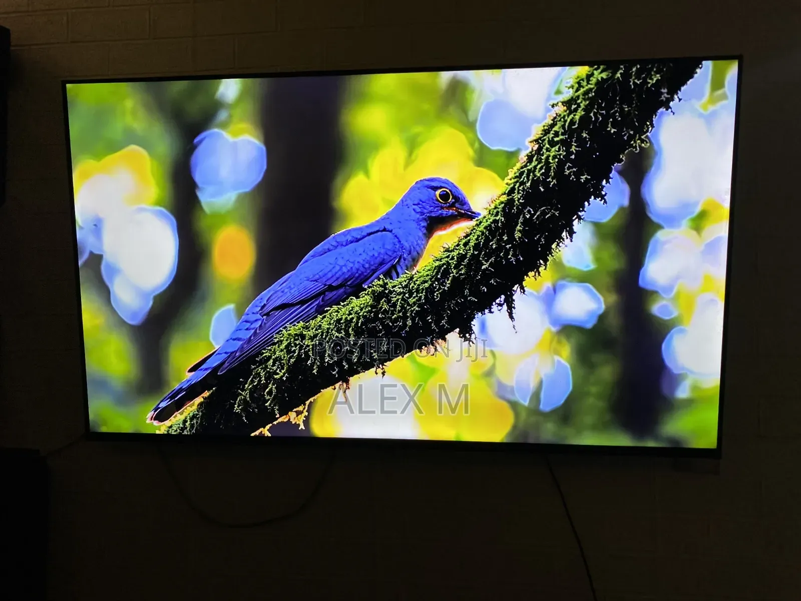 55 Inch Smart TV
