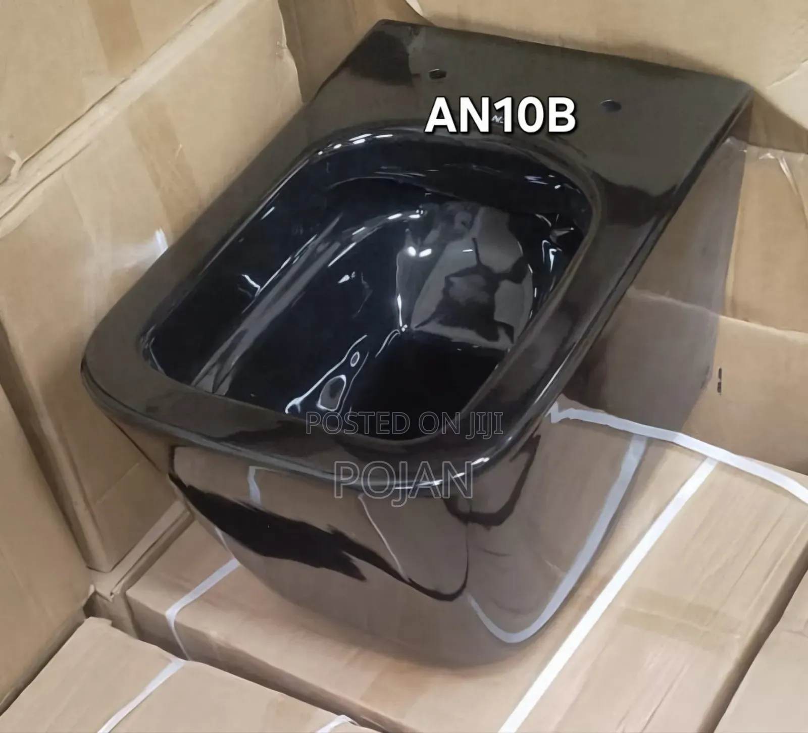 Wall Hung Toilet
