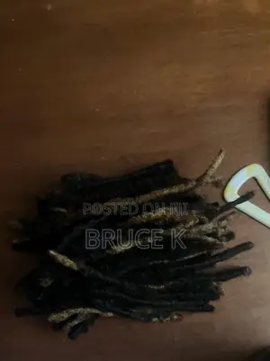 2026 Dreads