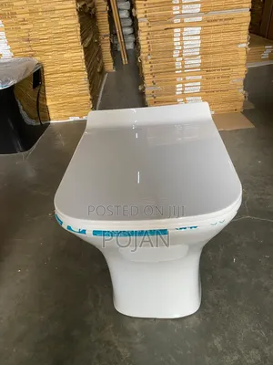 Back to Wall Toilet