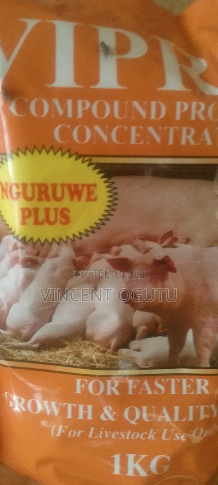 Vipro Ngurewe