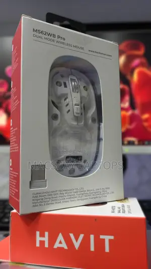 HAVIT MS62WB Pro Dual-Mode Wireless Mouse