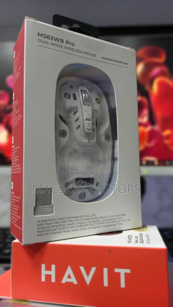 HAVIT MS62WB Pro Dual-Mode Wireless Mouse
