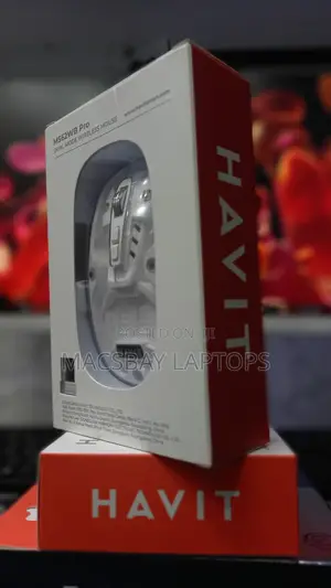 HAVIT MS62WB Pro Dual-Mode Wireless Mouse
