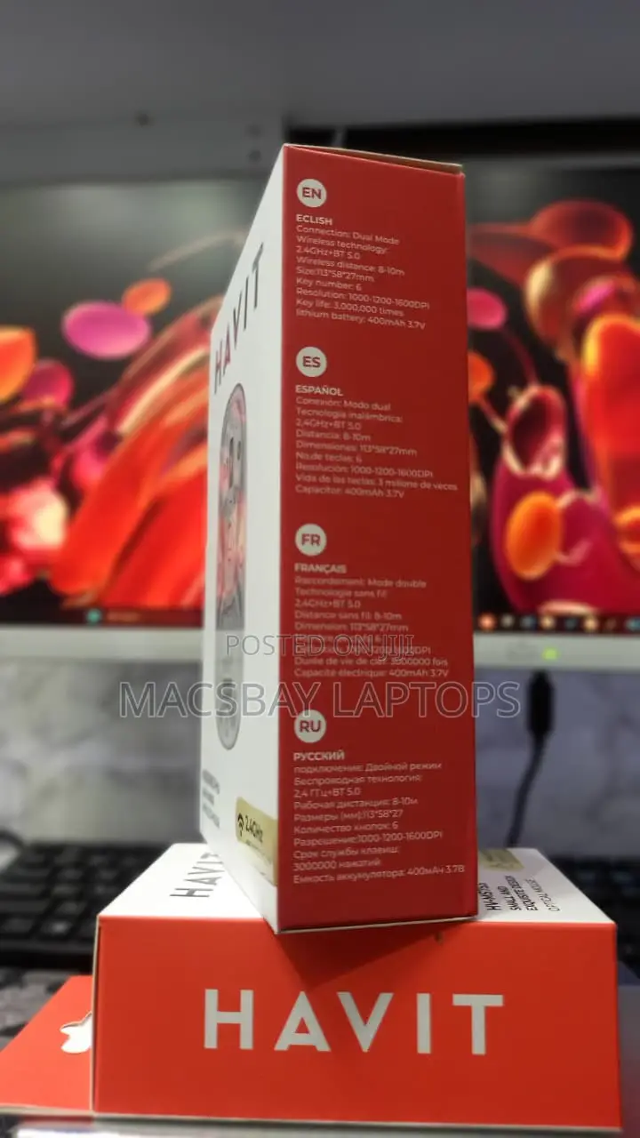 HAVIT MS62WB Pro Dual-Mode Wireless Mouse