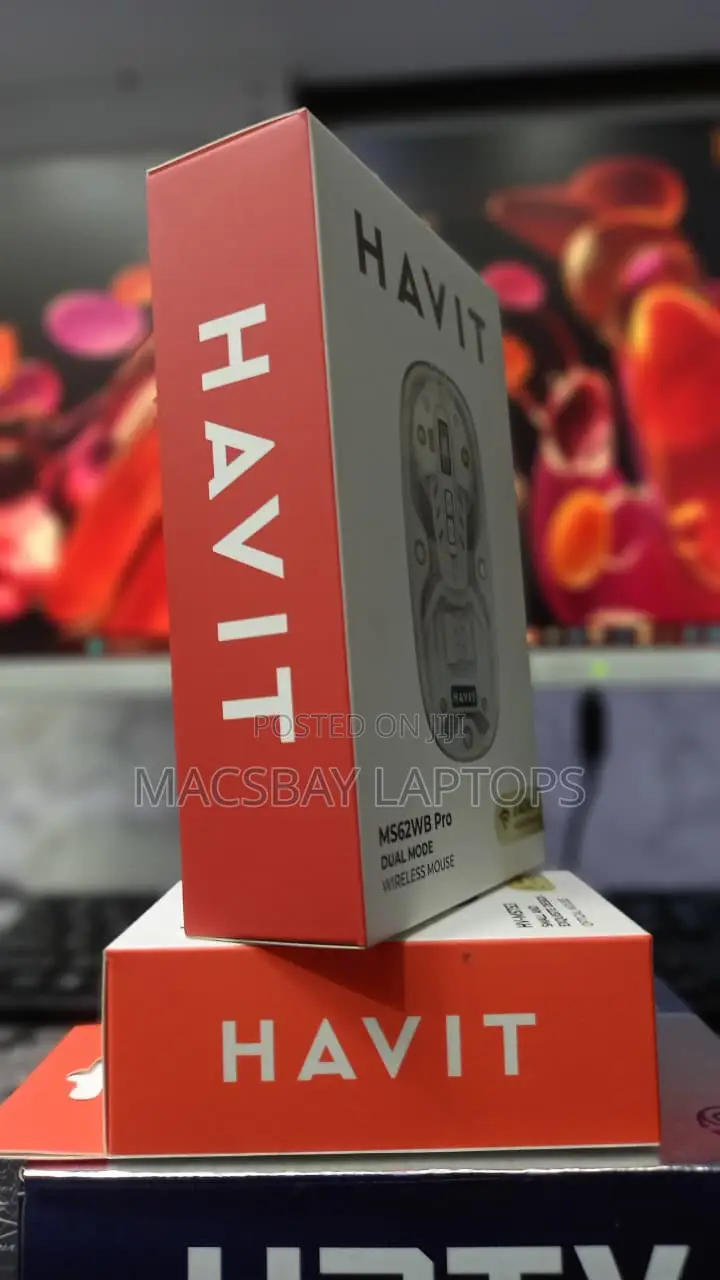 HAVIT MS62WB Pro Dual-Mode Wireless Mouse