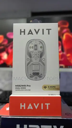 HAVIT MS62WB Pro Dual-Mode Wireless Mouse
