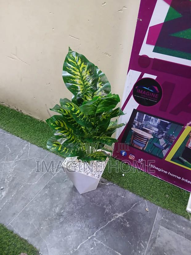 Unique and Beautiful Artificial Plant - thumbnail 2