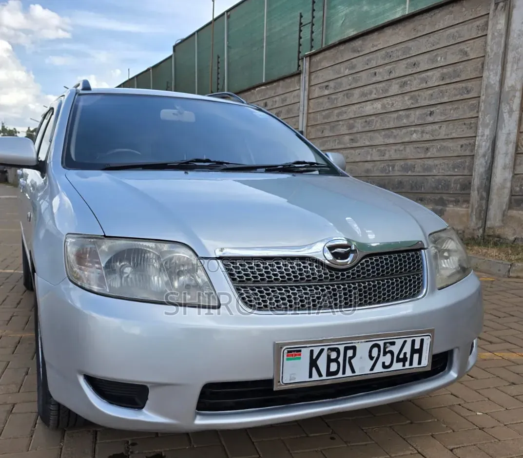 Toyota Corolla Fielder 2004 Silver