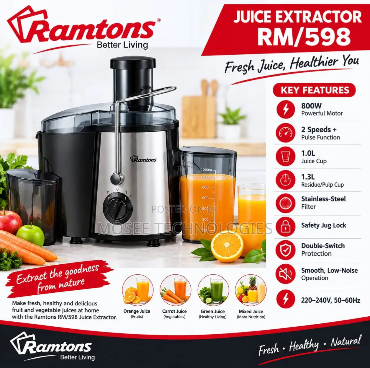 Ramtons Commercial Juicer