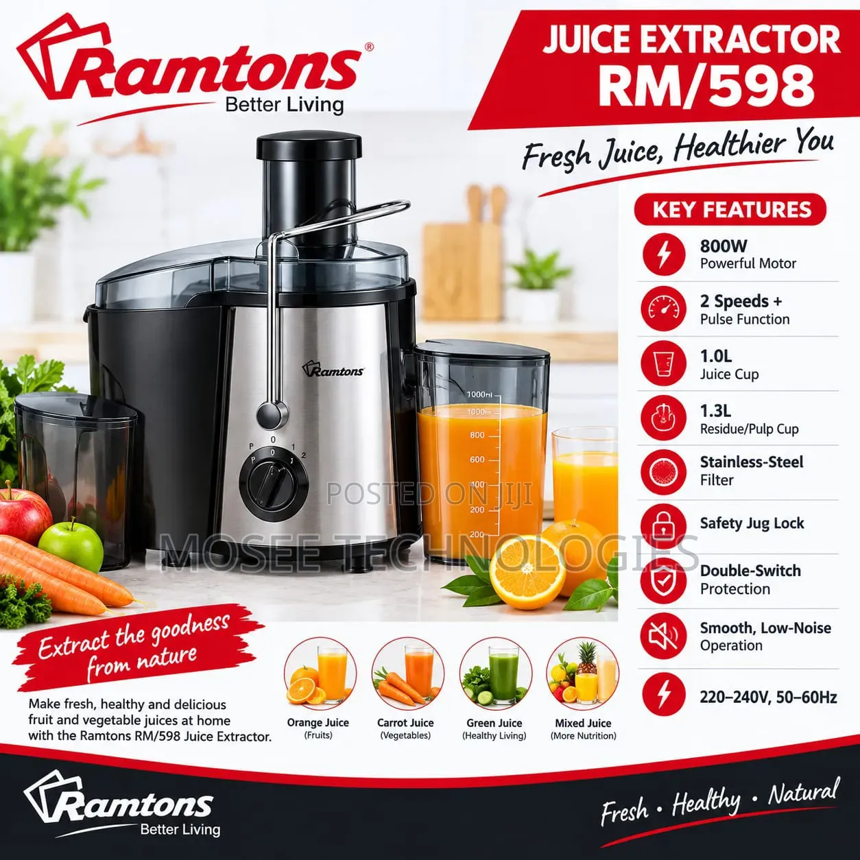 Ramtons Commercial Juicer