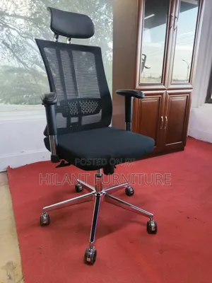 Executive Orthopaedic High-Back Mesh Office Chair