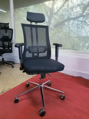 Executive Orthopaedic High-Back Mesh Office Chair