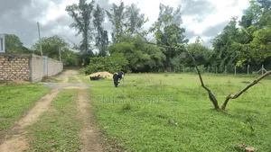 Prime 50x100 Plots in Mtwapa at (Flexible Payment Plan!)