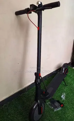 Electric Scooter Adults