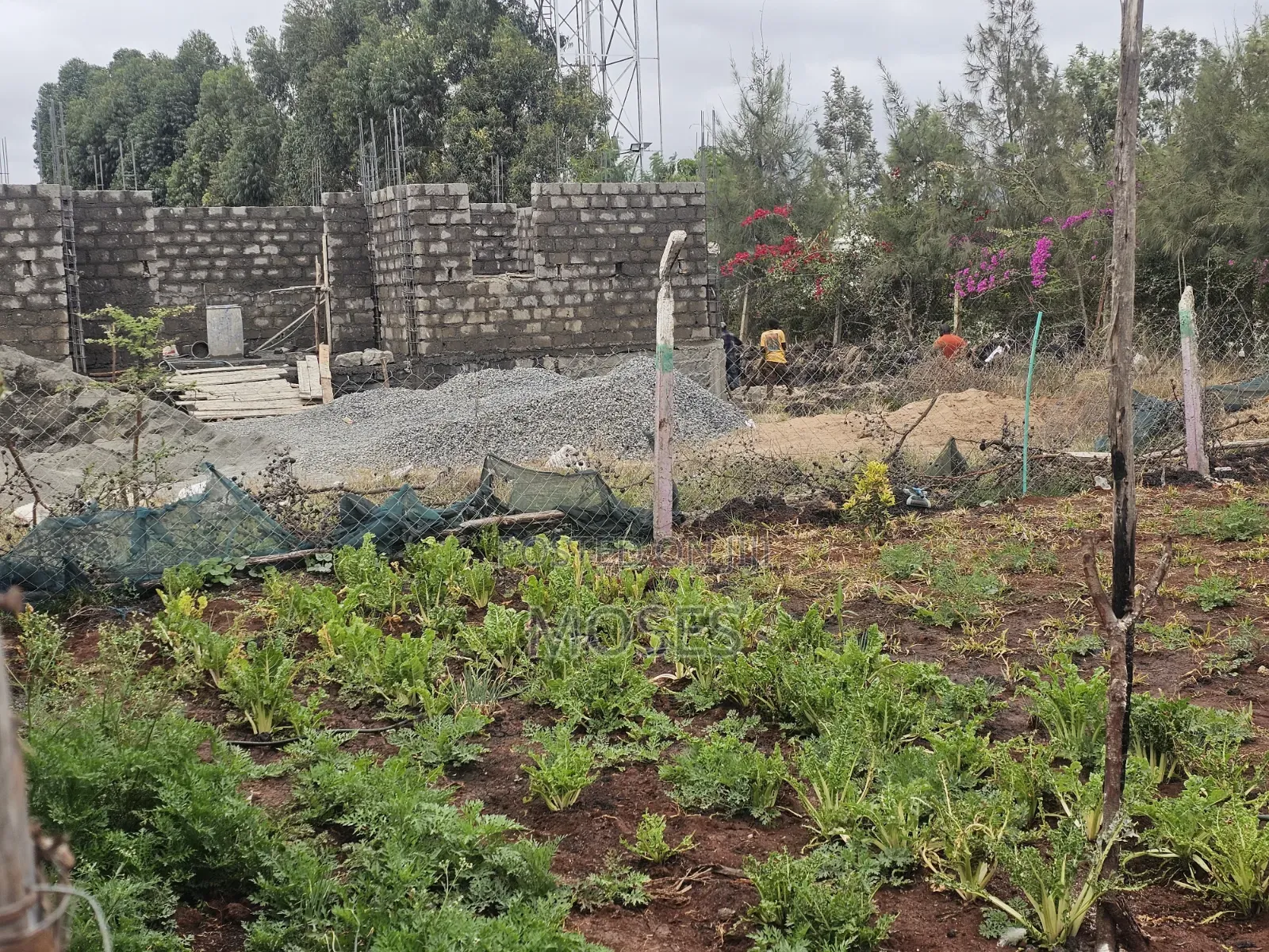 50x100 Plot Within a Devt Court on Sale