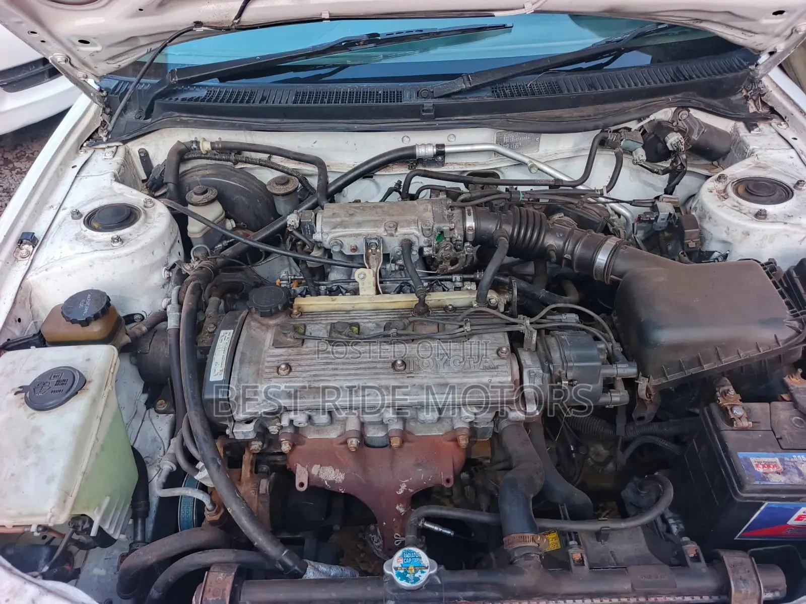 Toyota Corolla Hatchback 1999 White