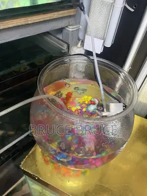 Fish Bowl for Sale