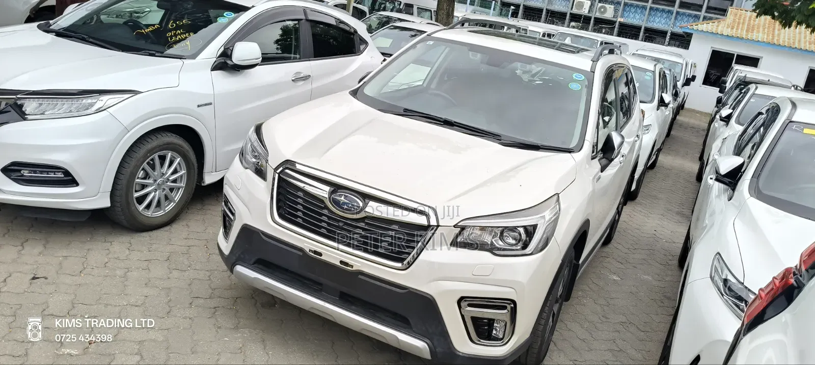 Toyota Probox 2019 White