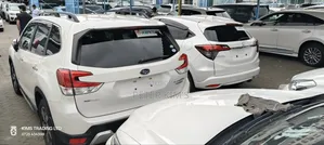 Toyota Probox 2019 White