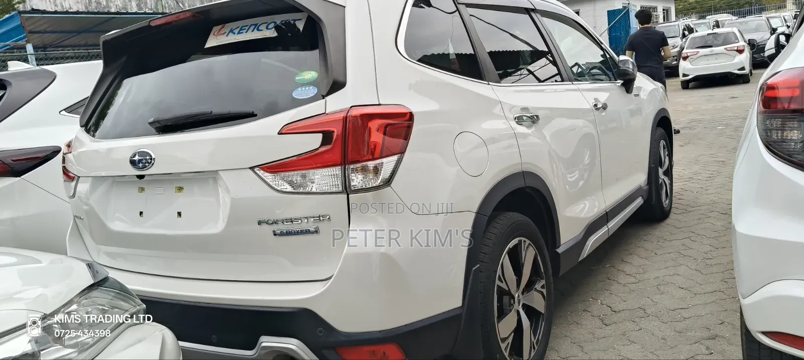 Toyota Probox 2019 White