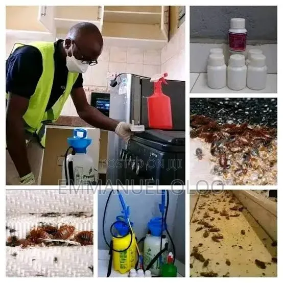 Bedbugs and Cockroaches Control