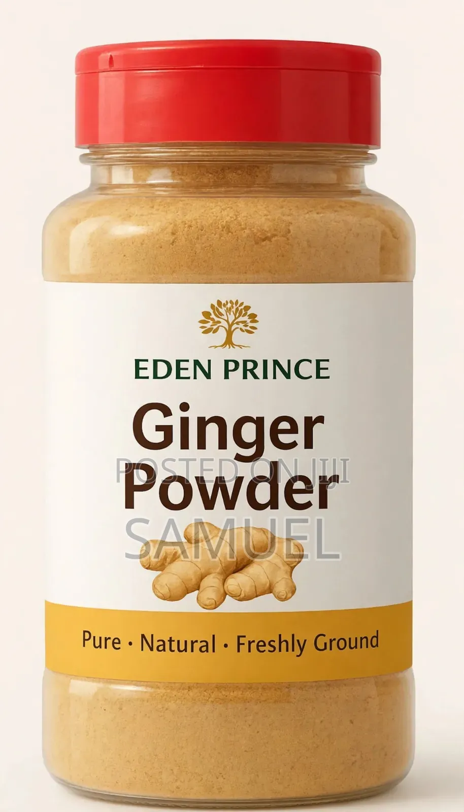 100% Pure Ginger Powder