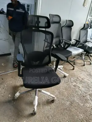 High-BackOthropedicErgonomic Office Chairkeny-Comfortable Desk Seat