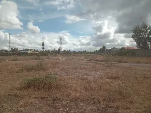 1/4 Plot in New Valley