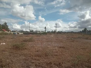 1/4 Plot in New Valley