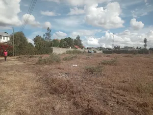 1/4 Plot in New Valley