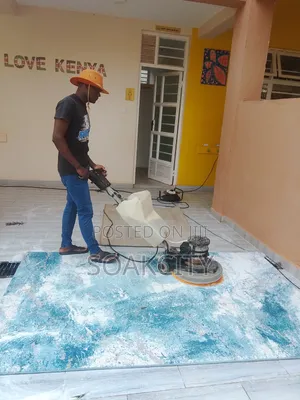 Sofa Cleaning