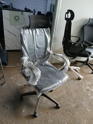 Ergonomic Office Chair With Headrest