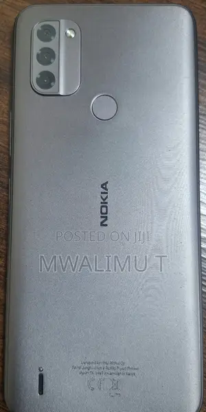 Nokia C31 64 GB Gray