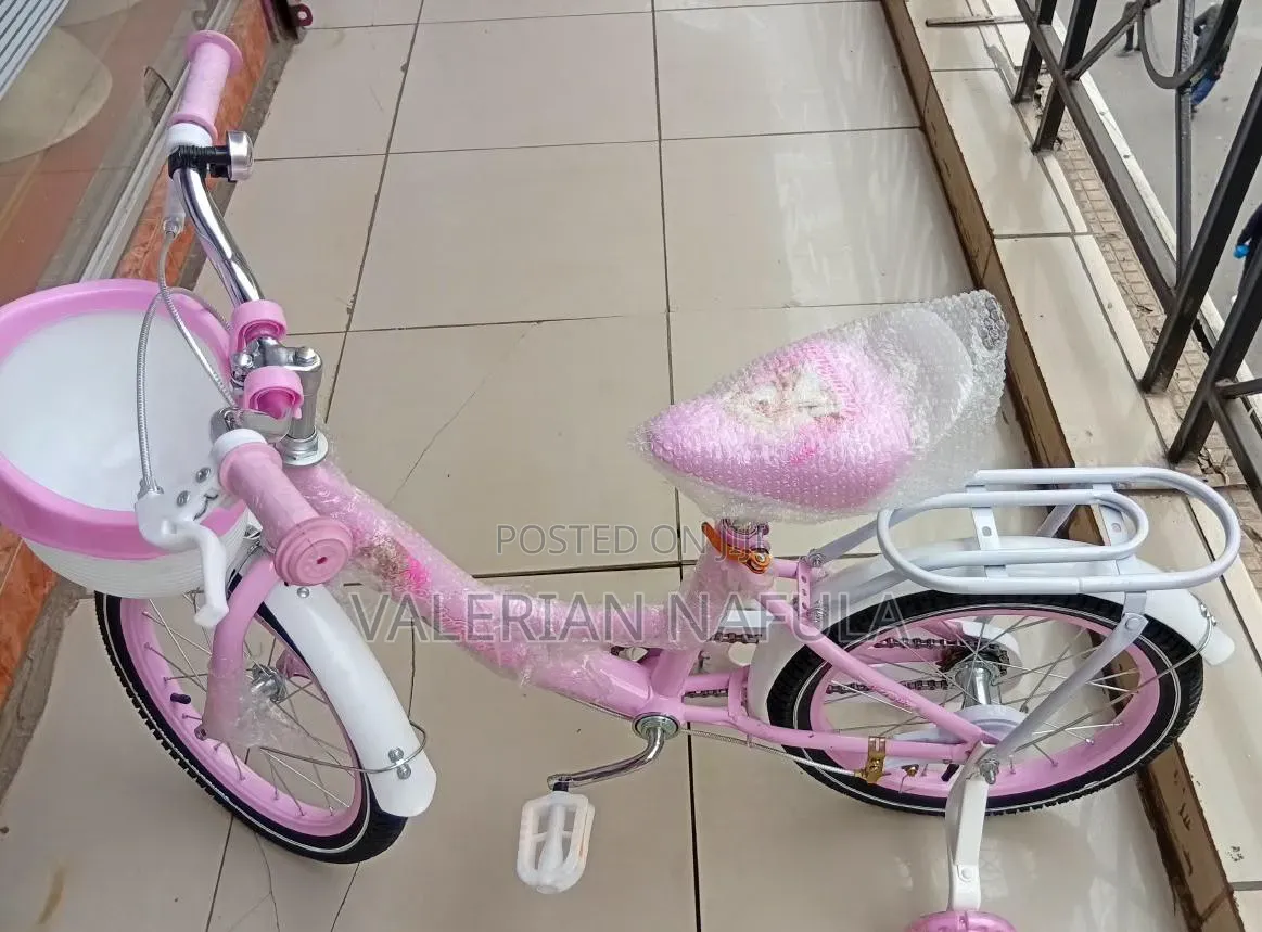 Premier Lady Bird Bike – Stylish Light Pink Bicycle