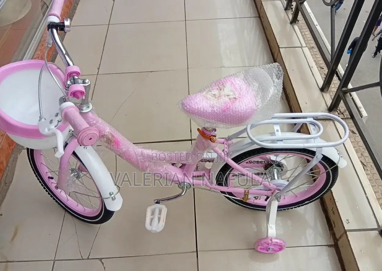 Premier Lady Bird Bike – Stylish Light Pink Bicycle