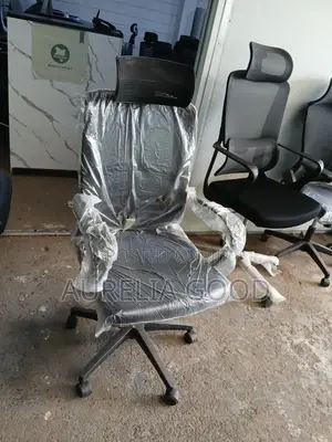 High-BackOthropedicErgonomic Office Chairkeny-Comfortable Desk Seat