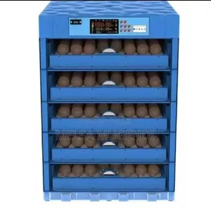 Automatic 256 Eggs Incubator Machine AC/DC