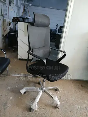 Ergonomic Office Chair With Headrest