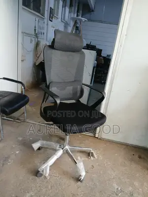 Ergonomic Office Chair With Headrest