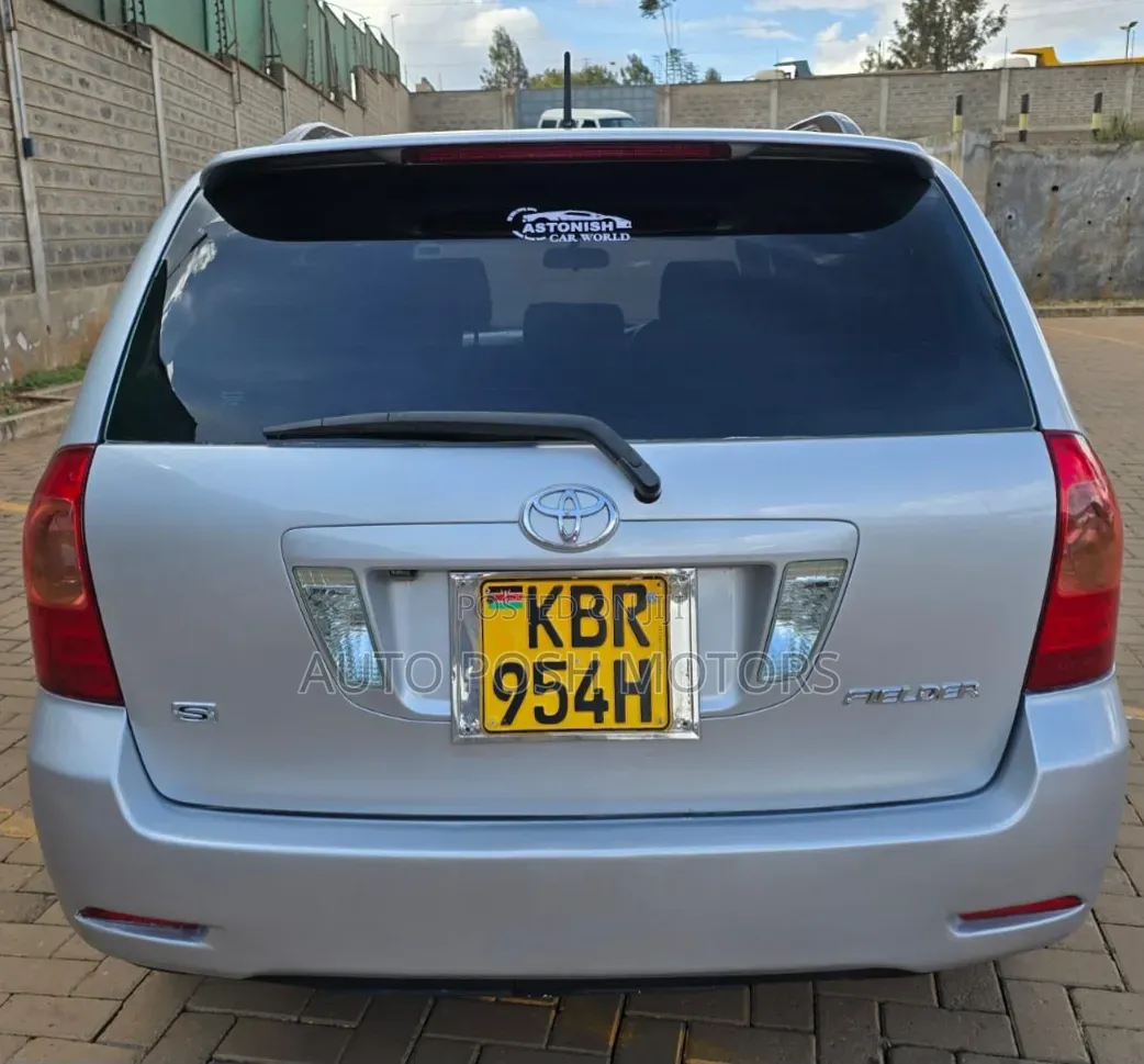 Toyota Corolla Fielder 2005 Silver