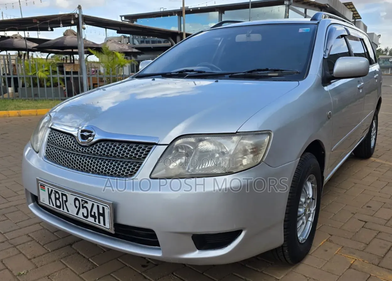 Toyota Corolla Fielder 2005 Silver