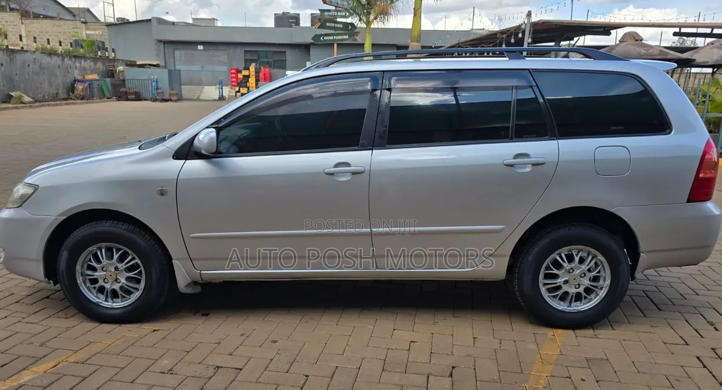 Toyota Corolla Fielder 2005 Silver