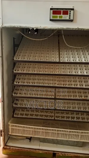 Incubator for Hire
