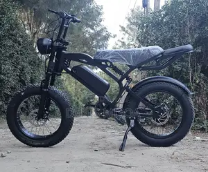 Modern Electric Bicycle Bike
