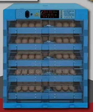 256 Eggs Automatic AC/DC Incubator – Poultry Egg Hatching Machine