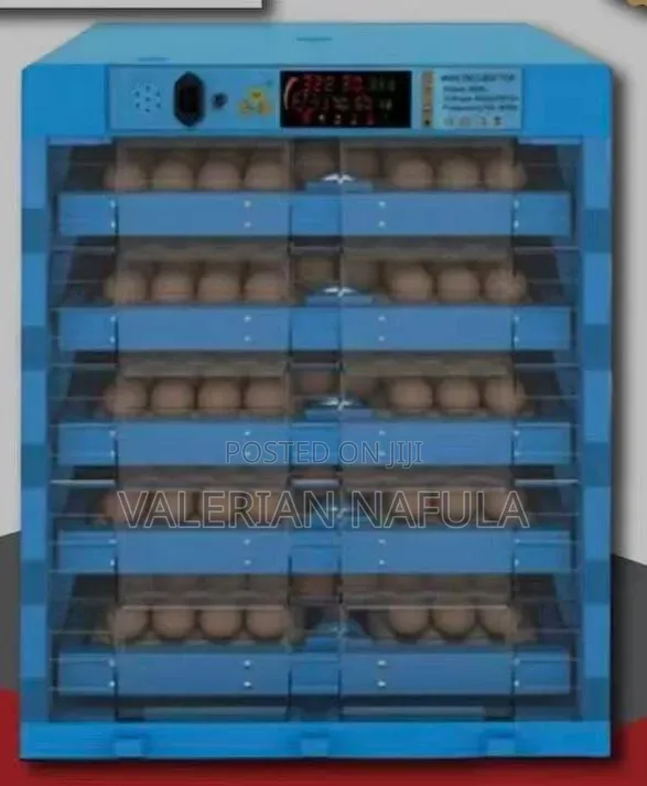 256 Eggs Automatic AC/DC Incubator – Poultry Egg Hatching Machine