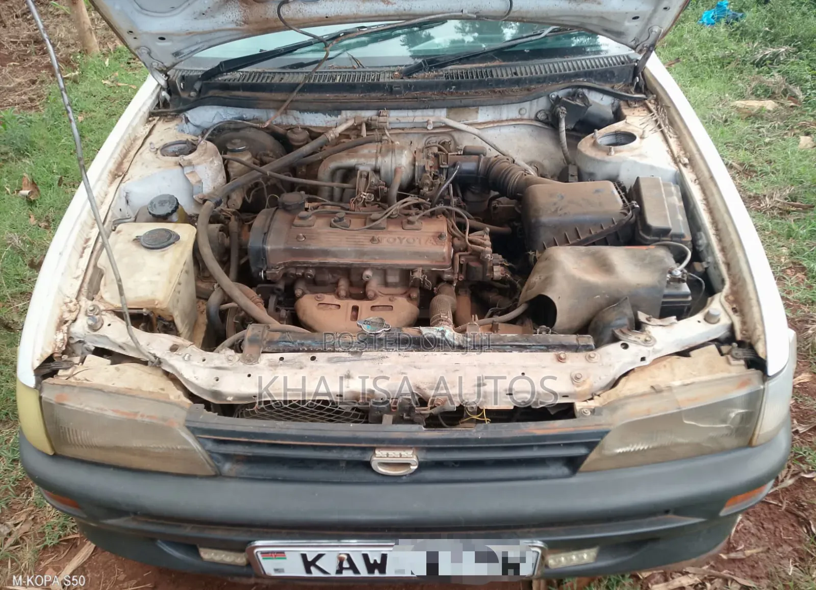 Toyota Corolla 2001 White