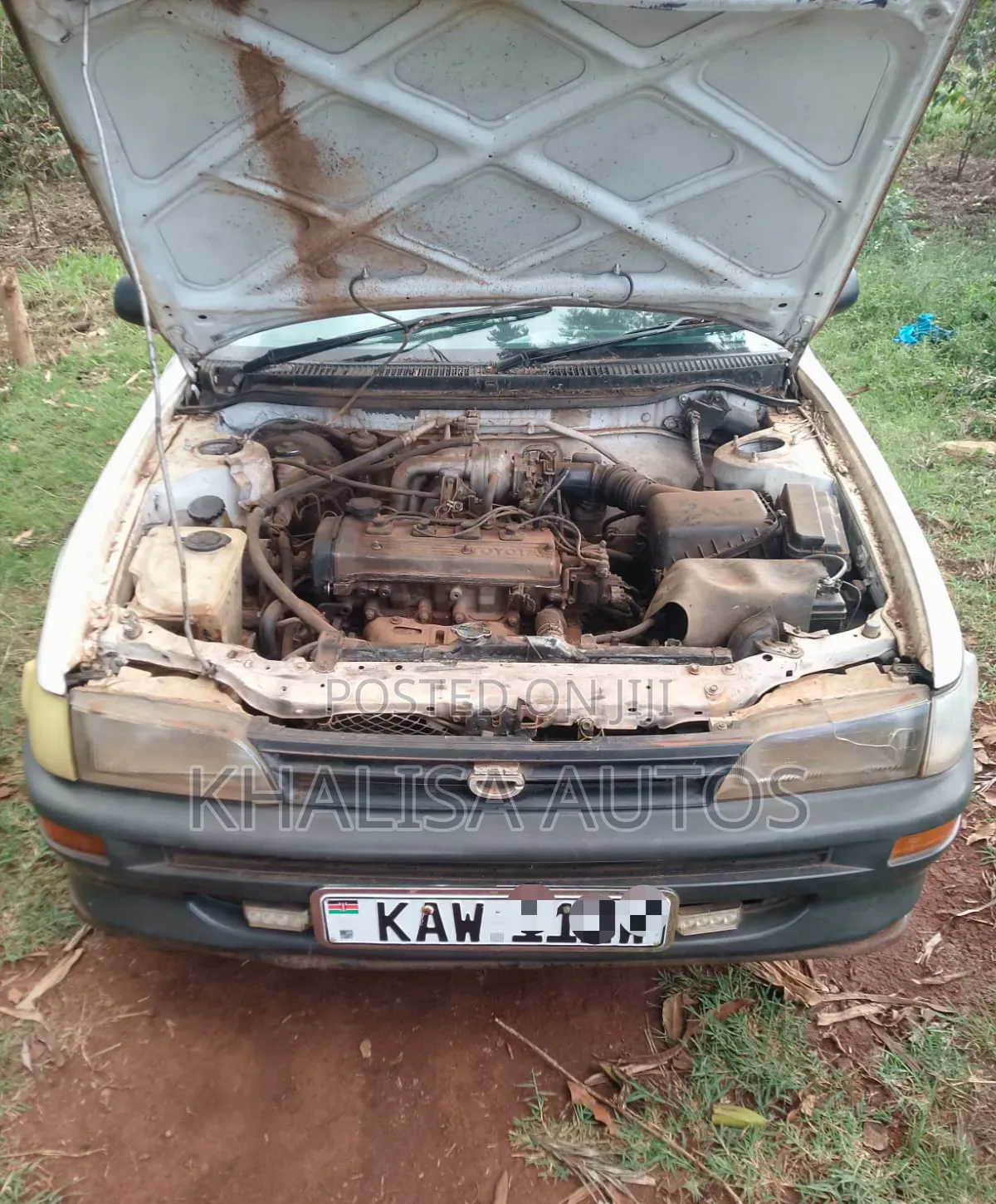 Toyota Corolla 2001 White