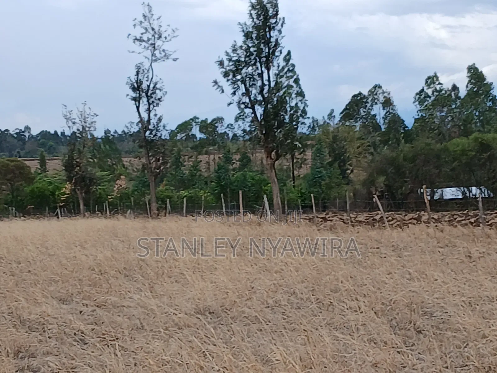 7 Acreas Nanyuki Matanya